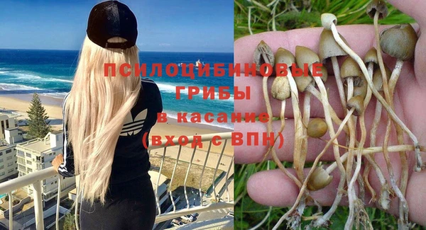 герыч Гусь-Хрустальный