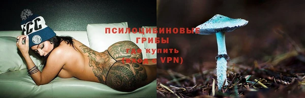 2c-b Гусев
