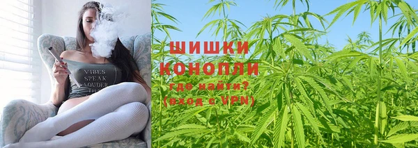 2c-b Гусев