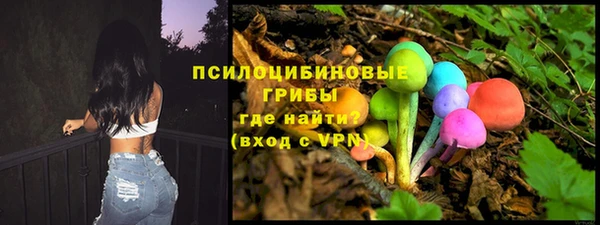 герыч Гусь-Хрустальный