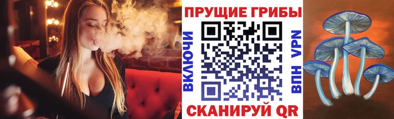 Псилоцибиновые грибы Magic Shrooms  Железноводск 